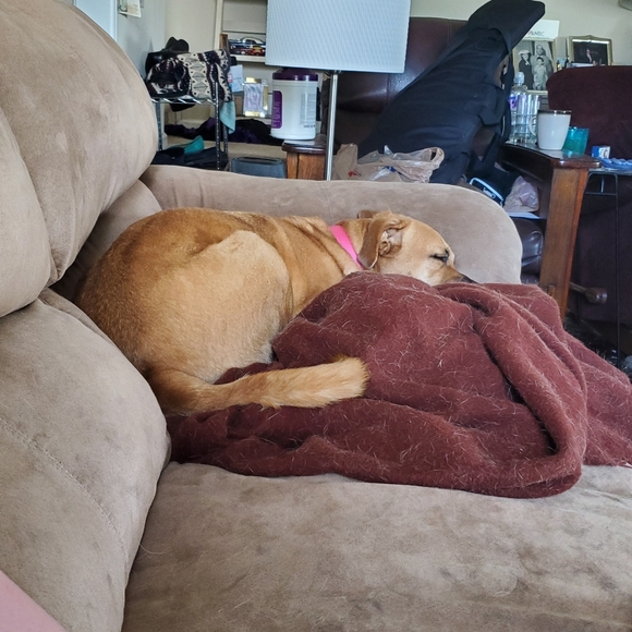 Meet your Posher, Hayley - Picture 2 of 3